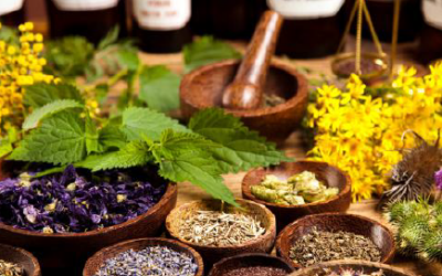 Biodiversidad mexicana: inspiración para el descubrimiento de fármacos de origen natural