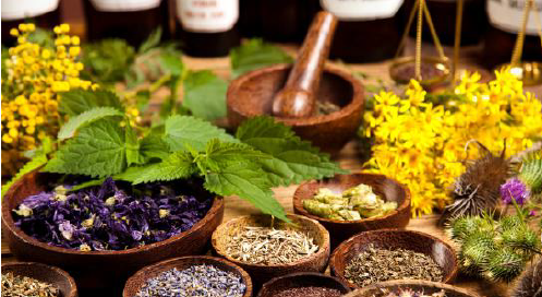Biodiversidad mexicana: inspiración para el descubrimiento de fármacos de origen natural